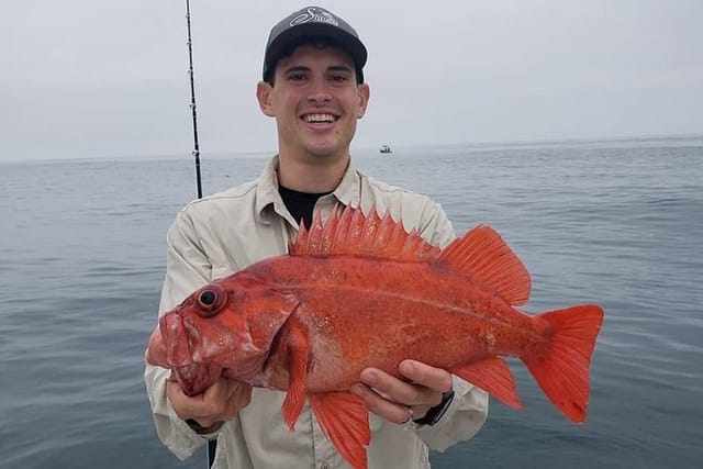 Private Half-Day San Diego Fishing Trip for up to 4 People - Photo 1 of 25